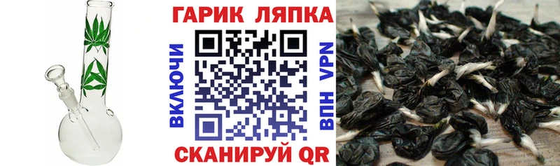 Гашиш хэш Кингисепп