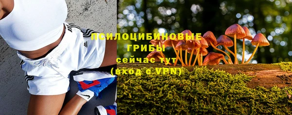 a pvp Абинск