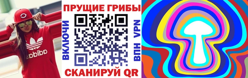 цены   Кингисепп  Псилоцибиновые грибы Magic Shrooms 